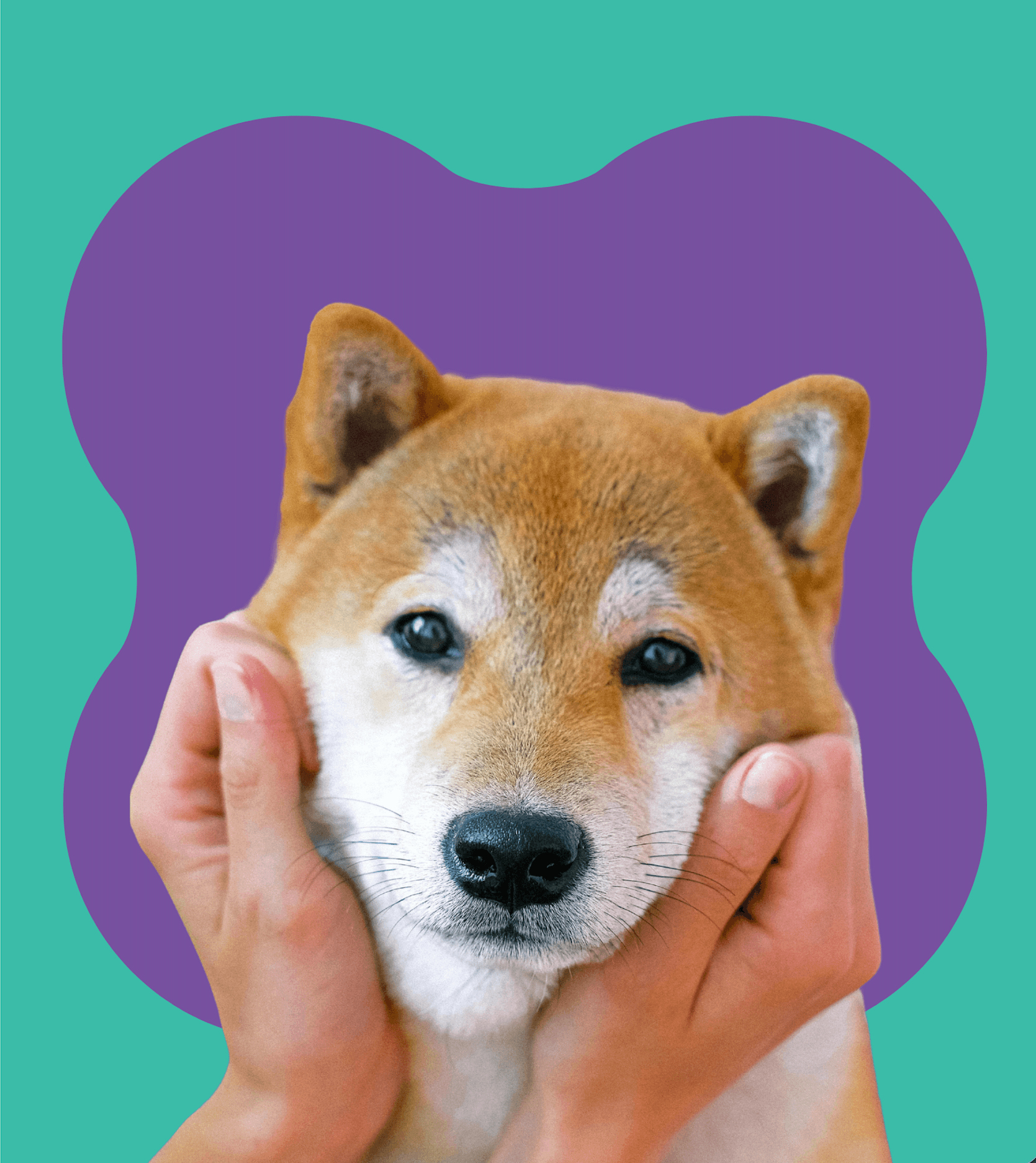 10 Things Every Dog Parent Wishes They Knew Earlier